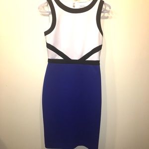 Calvin Klein color block dress.